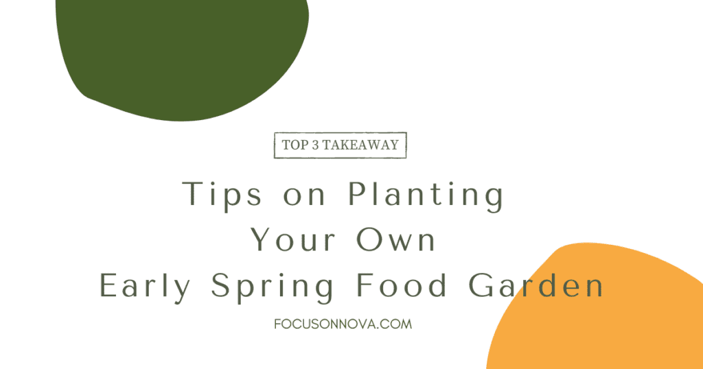 Tips on Planting Your Own Early Spring Food Garden