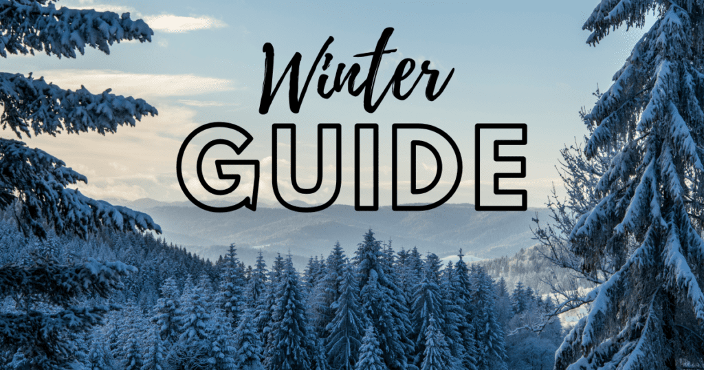 Northern Virginia Winter Guide
