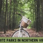 Favorite Parks in Northern Virginia