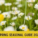 Spring Seasonal Guide