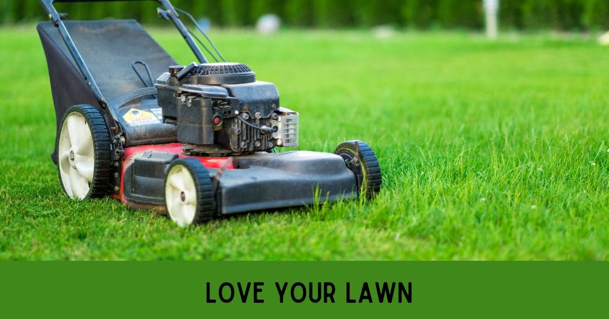 Love Your Lawn - Focus on NoVA Real Estate