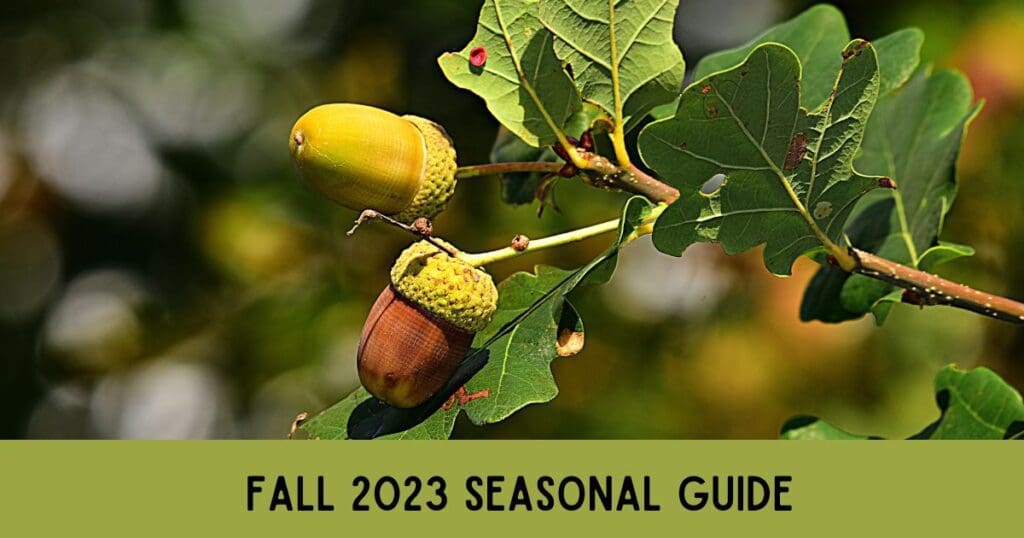 Fall 2023 Seasonal Guide - Focus on NoVA Real Estate