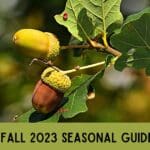 Fall Seasonal Guide 2023