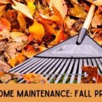 Fall Maintenance