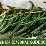 Winter Seasonal Guide